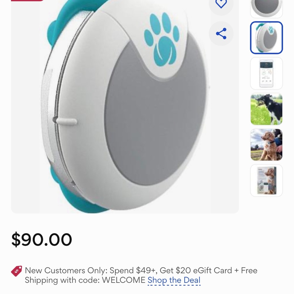 Amino Dog Activity and Behavior Monitor